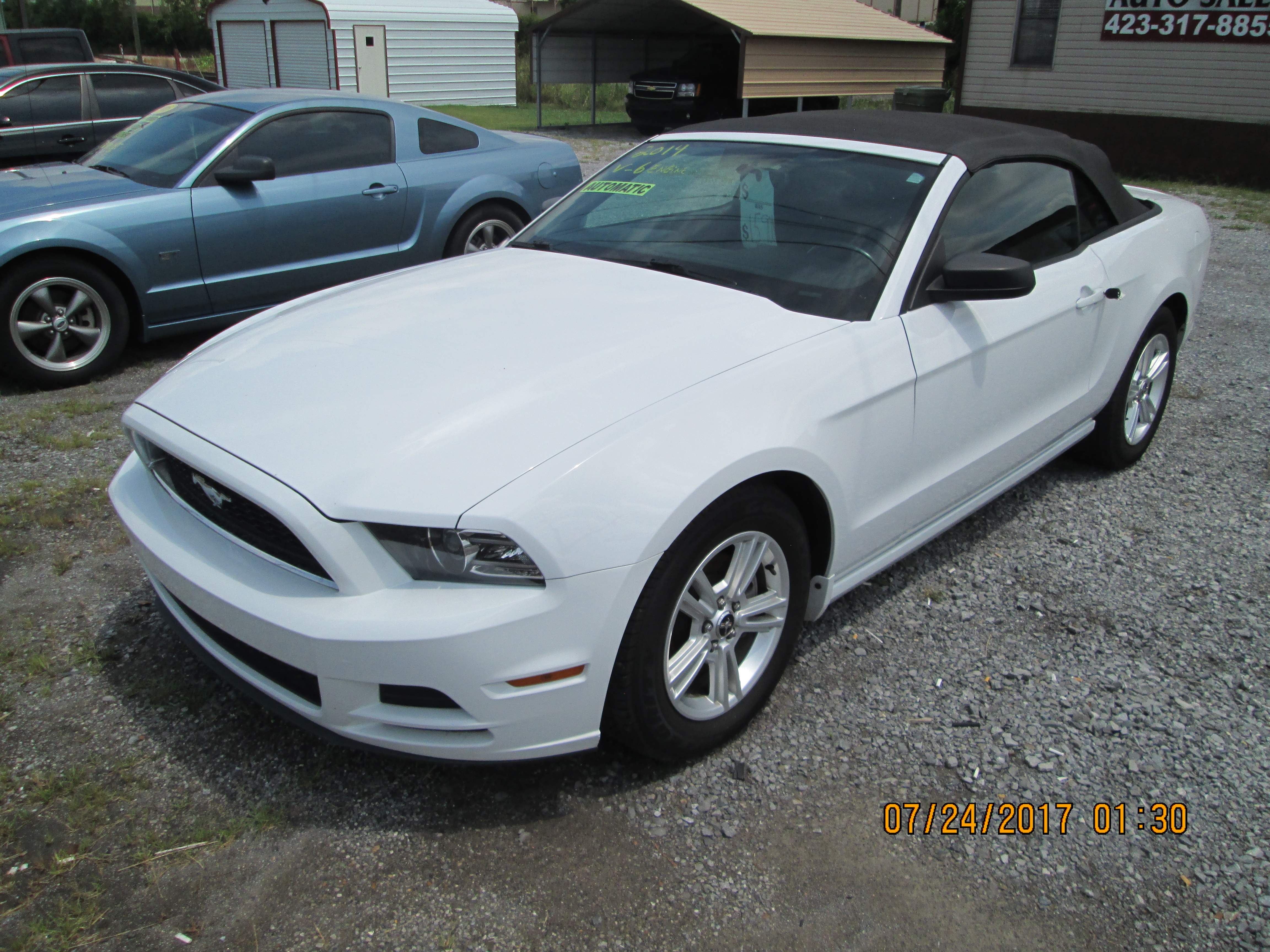 webassets/2014mustang.JPG
